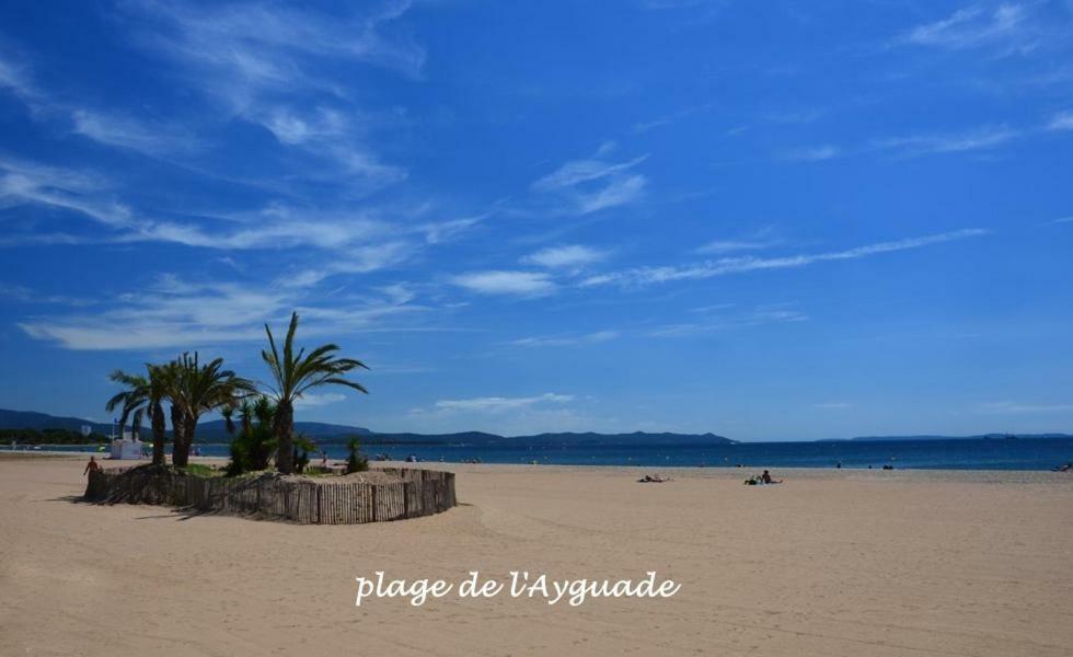 Plage A 400 M Studio Tout Confort Terrasse Clim Parking Hyères Exteriör bild